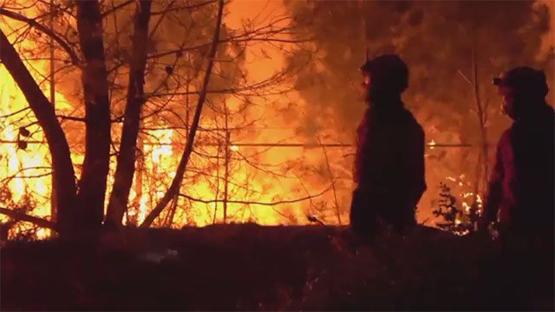 Incendio forestal devora miles de hect&aacute;reas en el oeste de Espa&ntilde;a