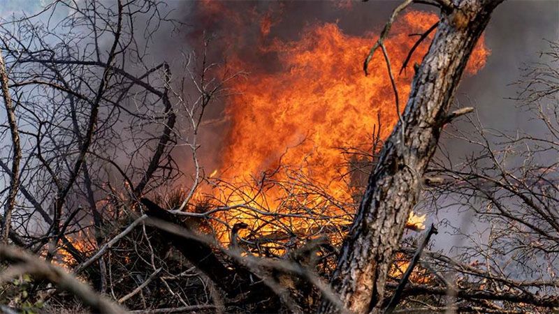 Incendios en Alemania provocan explosiones en campos de entrenamiento