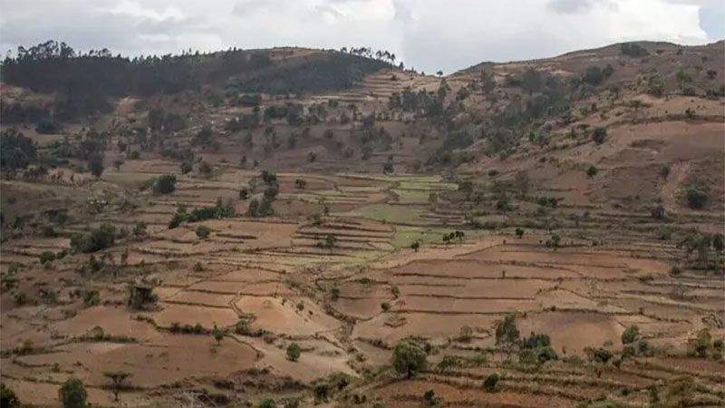 Secuestran a un israel&iacute; en la regi&oacute;n de Gondar de Etiop&iacute;a