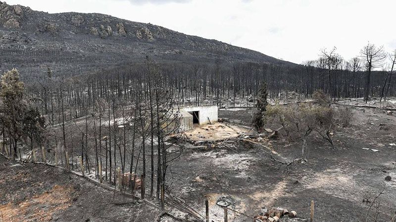 Detienen en Argelia a doce personas por los incendios que provocaron 40 muertes