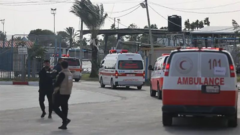 Trasladados a Egipto 28 beb&eacute;s evacuados del hospital Al-Shifa en Gaza