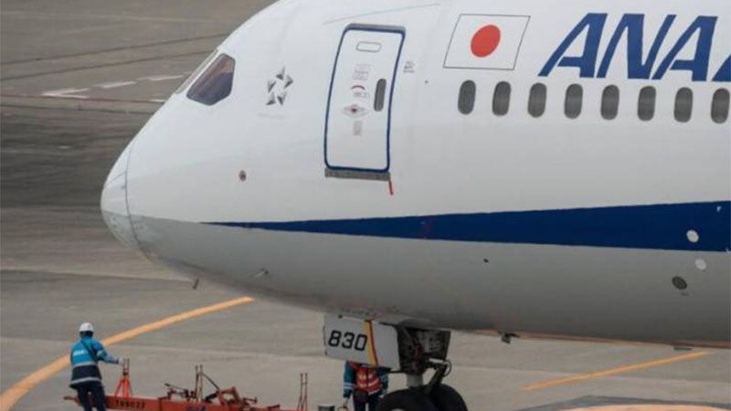 Un avi&oacute;n regresa a Tokio despu&eacute;s de que un pasajero mordiera a una auxiliar de vuelo