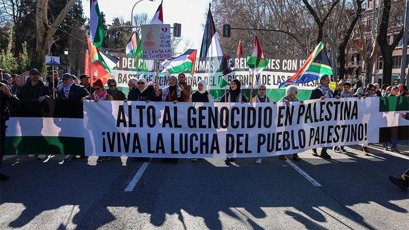 Manifestaciones en toda Espa&ntilde;a por Palestina y contra el genocidio israel&iacute; en Gaza