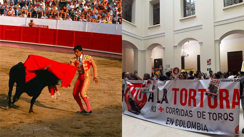 Congreso de Colombia aprueba el proyecto de ley que proh&iacute;be las corridas de toros