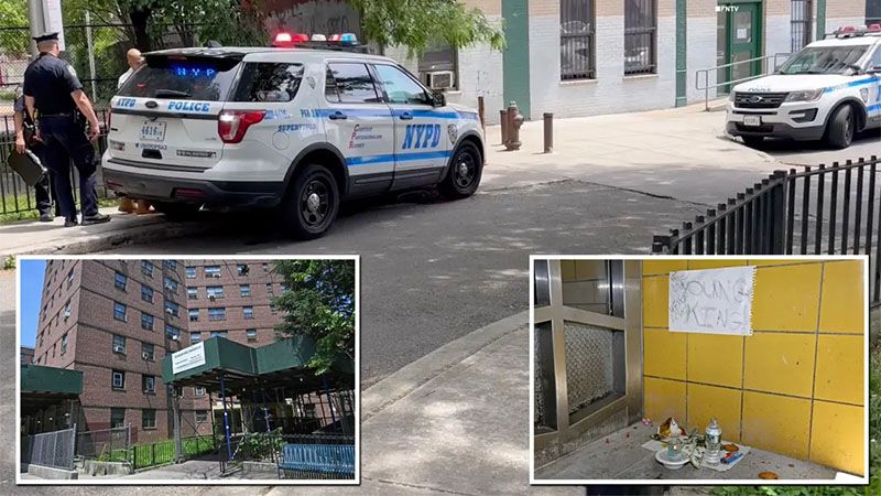 Un ni&ntilde;o de 12 a&ntilde;os mata de un disparo a su primo de 14 a&ntilde;os en Nueva York