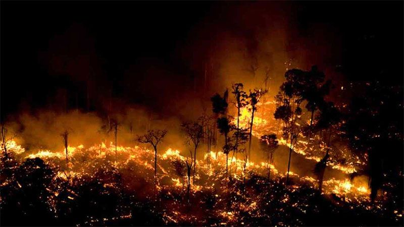 Guatemala registra 18 incendios activos en el departamento de Pet&eacute;n