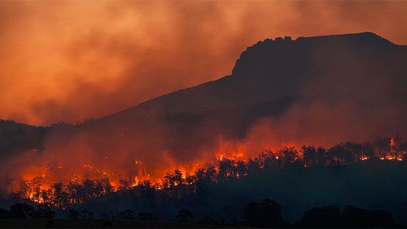 Suram&eacute;rica enfrenta una de las peores olas de incendios en los &uacute;ltimos a&ntilde;os