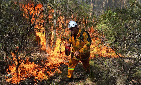 los incendios forestales en Australia