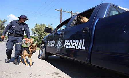 policia mexicana